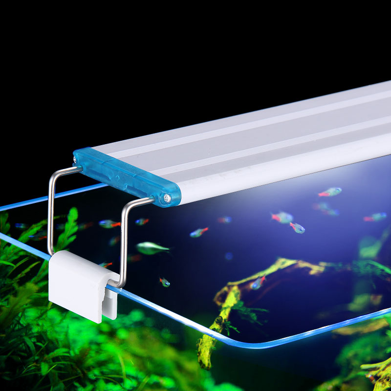 Extensible Waterproof Clip on  - Marine Aquarium Lamp ulasan dan harga