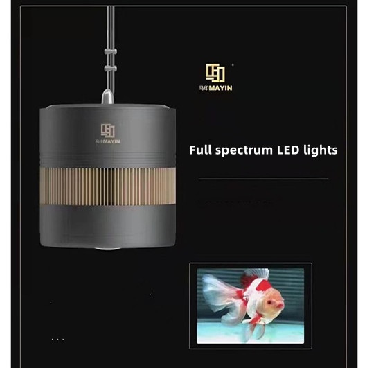 Light Emitting Diode 3D Hot Sa - Aquarium Marine Fish For Sale ulasan dan harga
