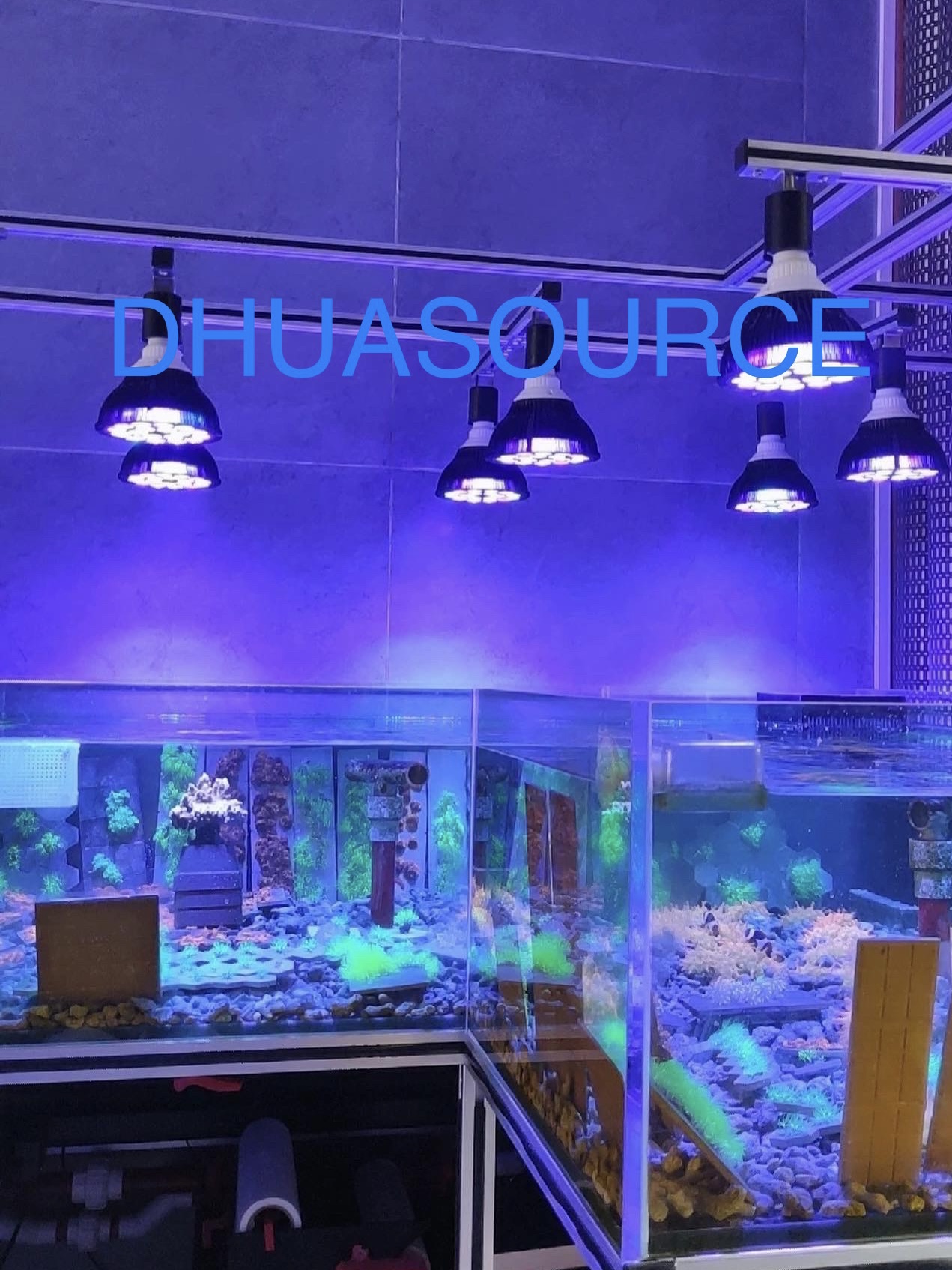 Full specturm LED Aquarium Ree - Marine Aquarium Lamp ulasan dan harga