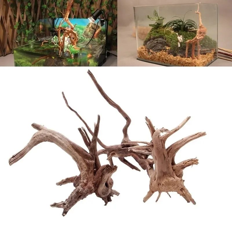 Natural Tree Trunk Driftwood A - Aquarium Innovative Marine ulasan dan harga