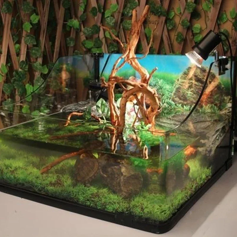 Natural Tree Trunk Driftwood A - Aquarium Innovative Marine ulasan dan harga