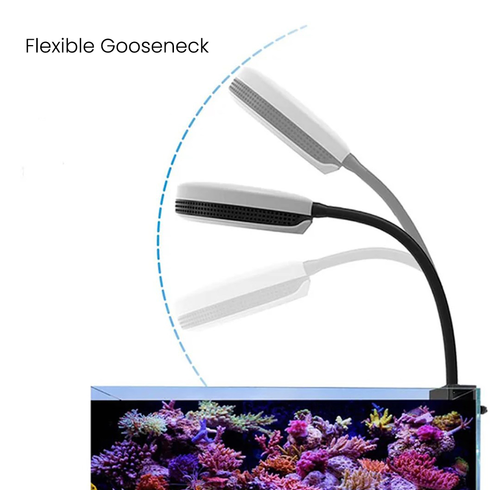 Spectra SP20 110-240V 20W Fres - Aquarium Marine Fishes ulasan dan harga
