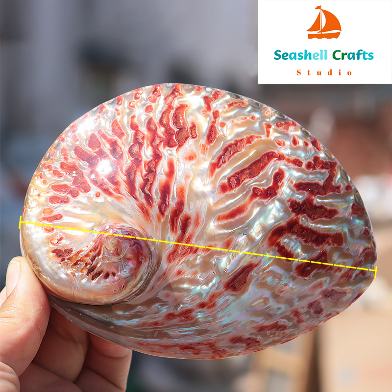 Home Decoration Red Pattern Ab - Marine Aquarium Decorations ulasan dan harga