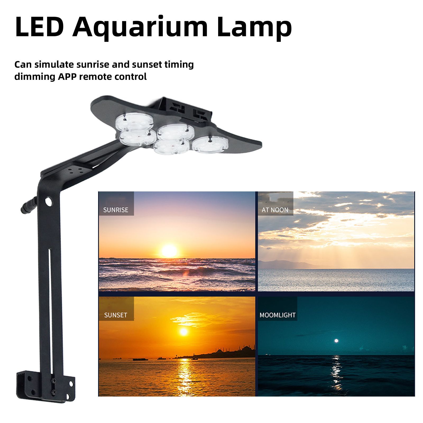 LED Marine Aquarium Coral Aqua - Aquarium Marine ulasan dan harga