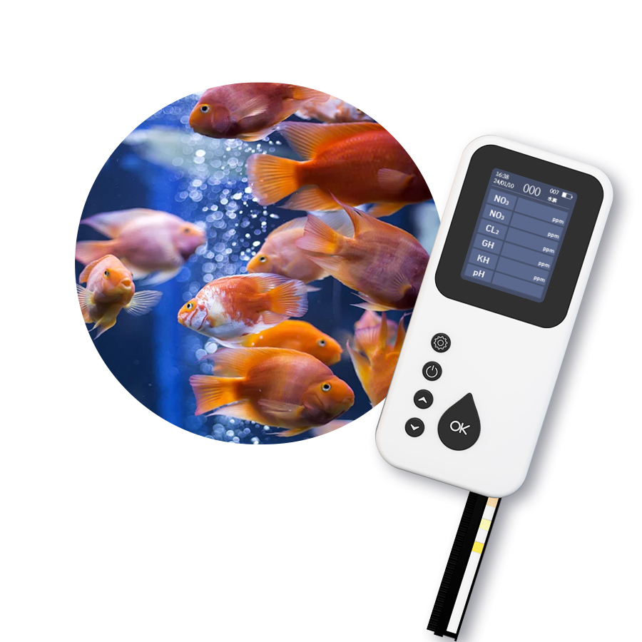 Portable TS-1000 Digital Water - Aquarium & Marine Museum ulasan dan harga