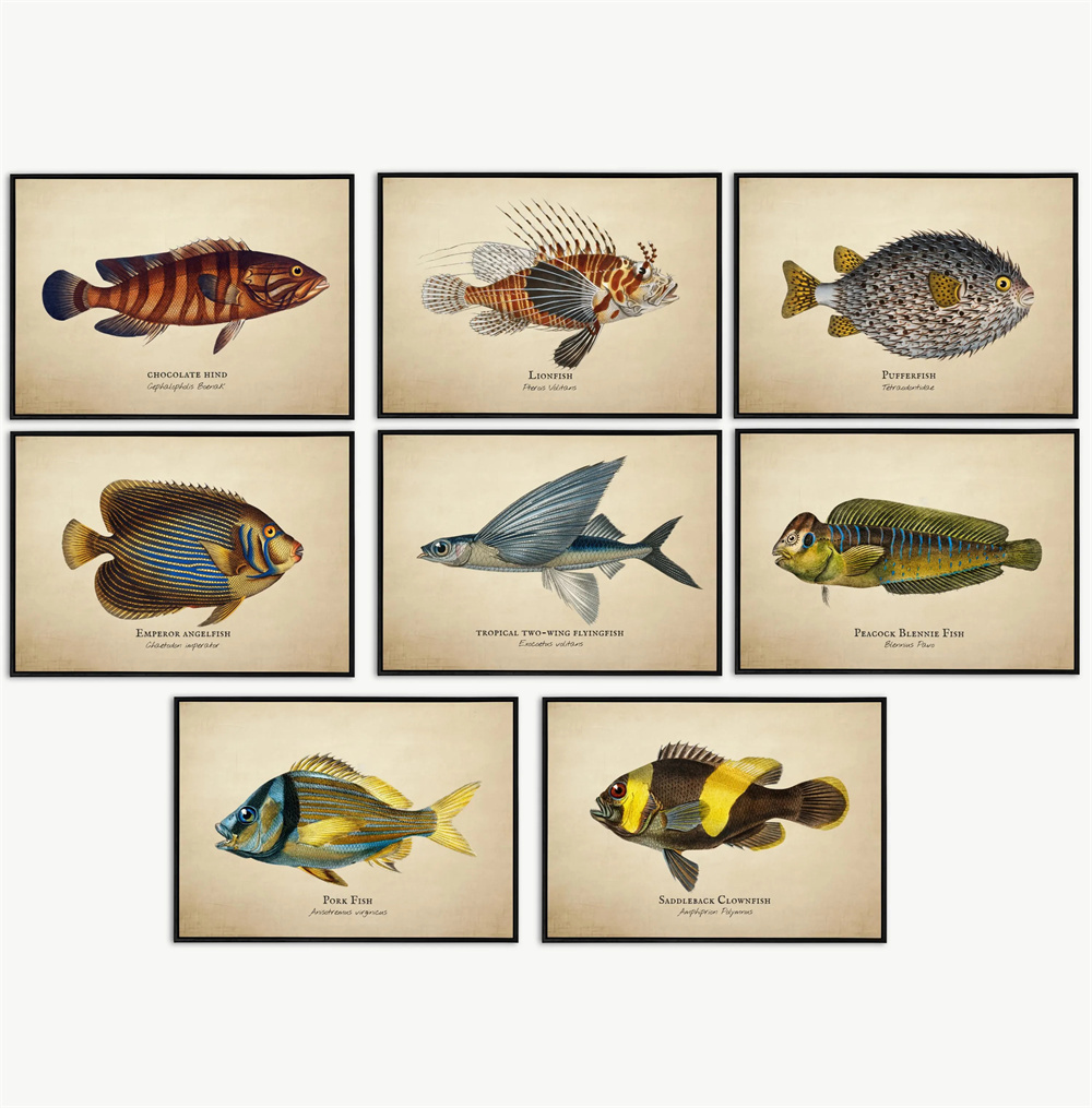 Vintage Pictures Tropical Fish - Aquarium Marine Fishes ulasan dan harga