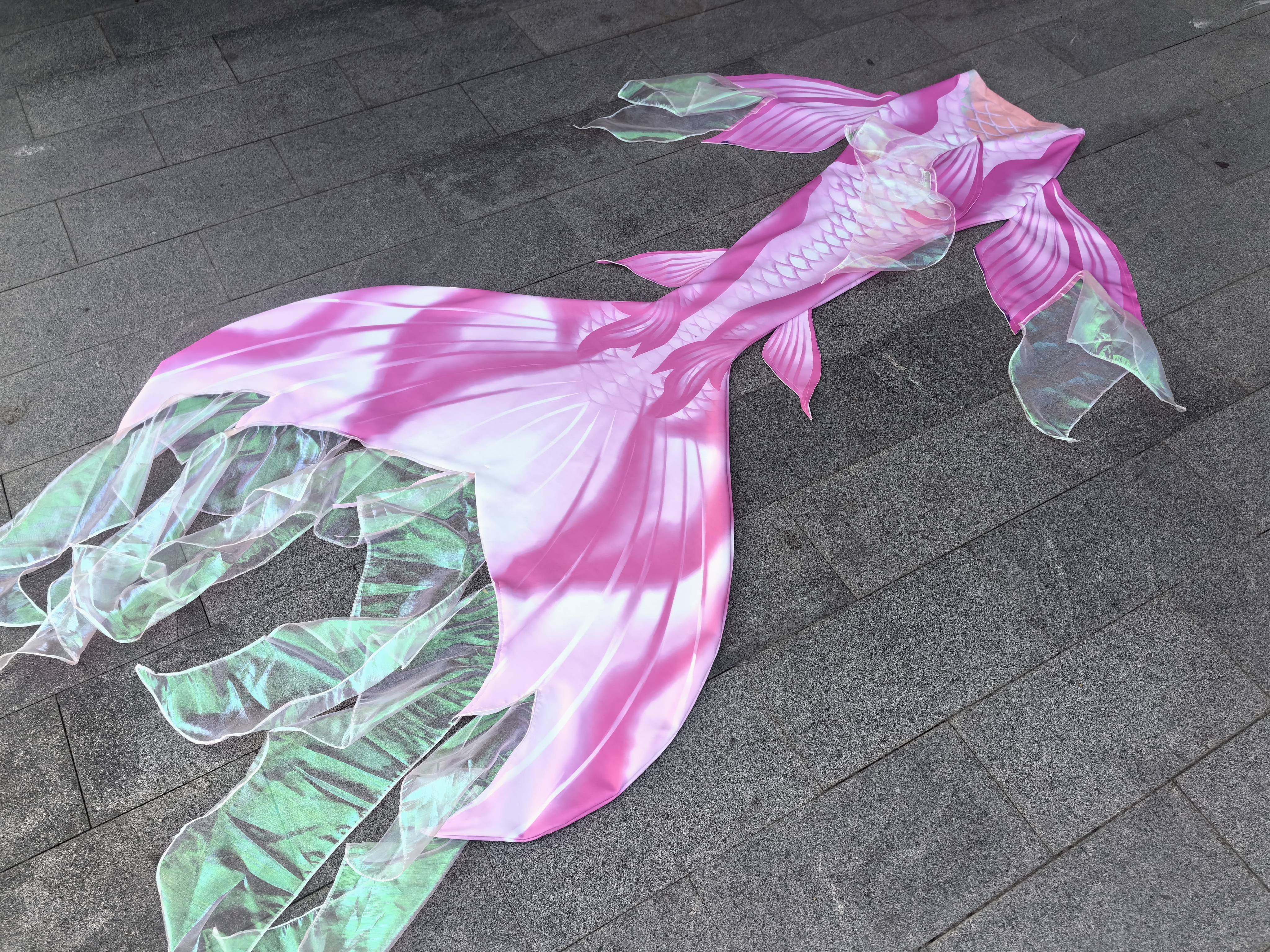 Mermaid Tail Swimsuit Aquarium - Aquarium & Marine Museum ulasan dan harga