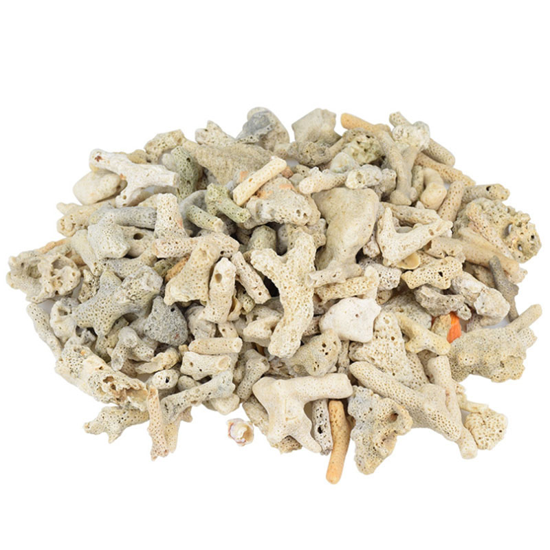 100g 250g 500g Aquarium Filter - Marine Aquarium Live Sand ulasan dan harga