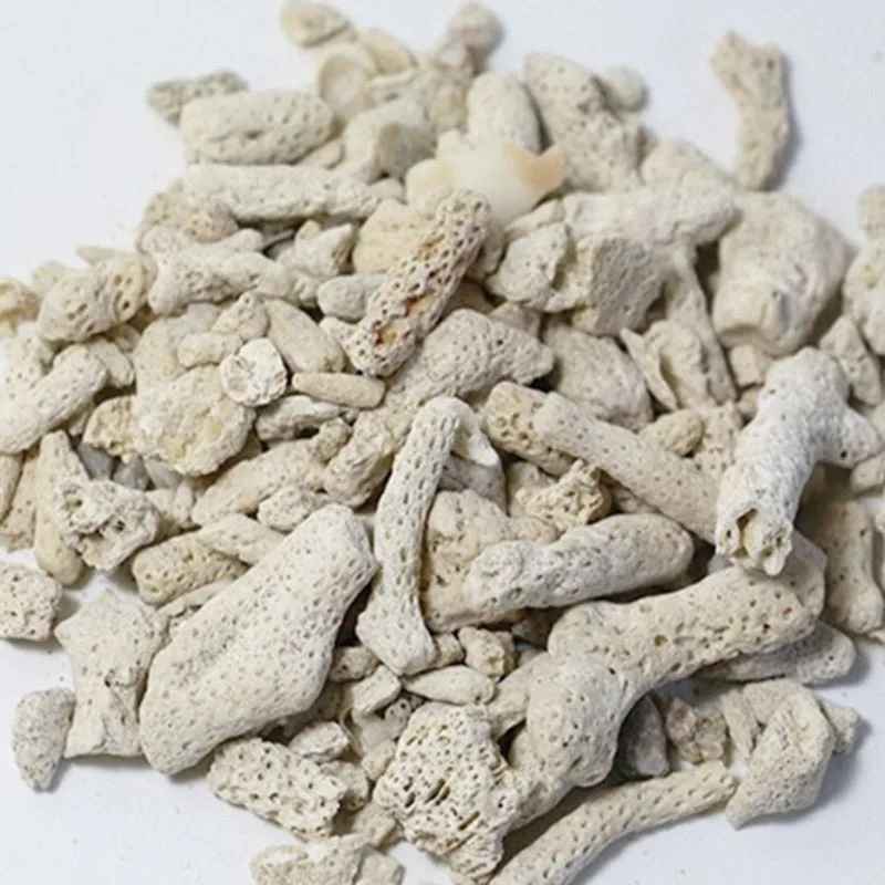 100g 250g 500g Aquarium Filter - Marine Aquarium Live Sand ulasan dan harga