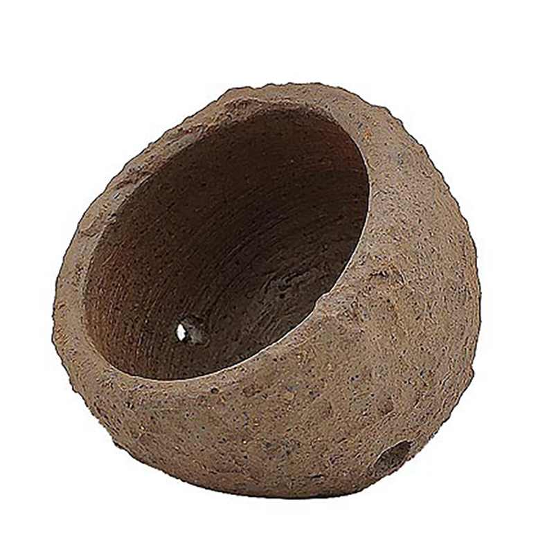 Anemone Nest Prevent Running A - Marine Aquarium Live Sand ulasan dan harga