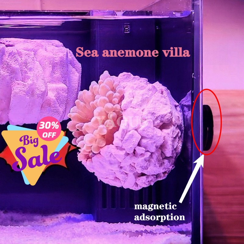 New DIY Handmade Floating Magn - Marine Aquarium For Sale ulasan dan harga
