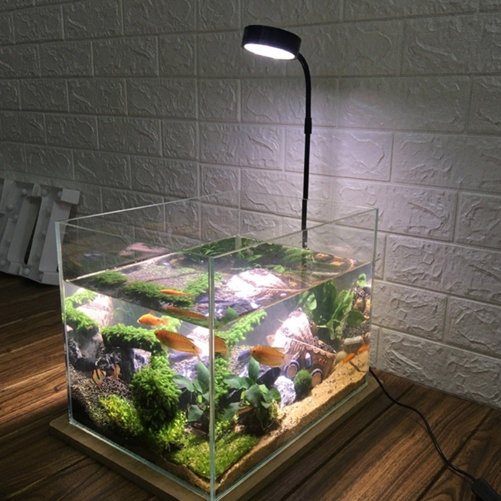 10W Fish Tank LED Lamp Retract - Marine Aquarium Lamp ulasan dan harga