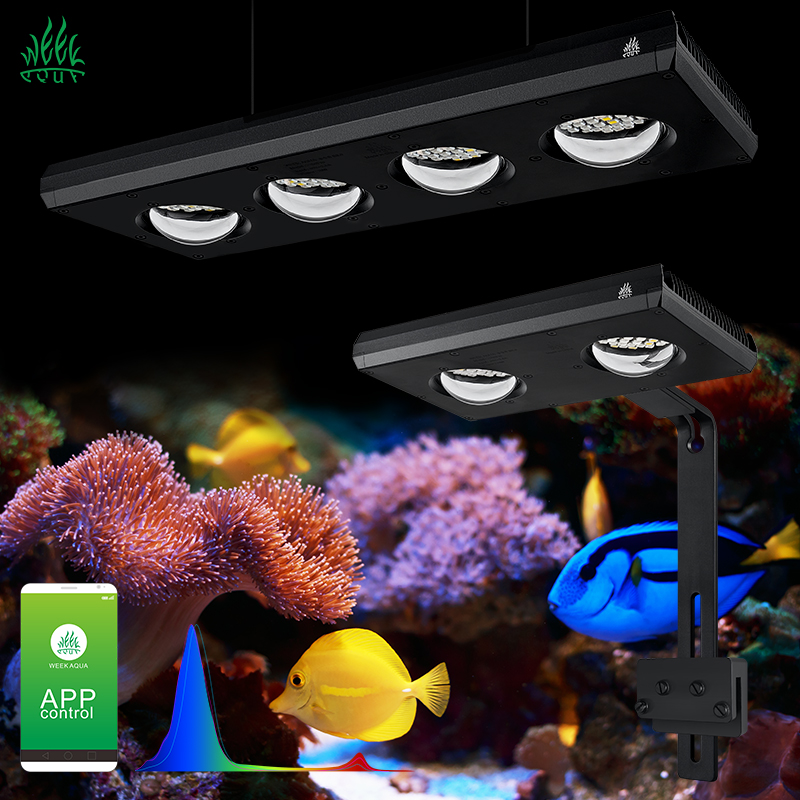 ZXY Hot Sale WEEKAQUA Z250 Z40 - Marine Aquarium For Sale ulasan dan harga