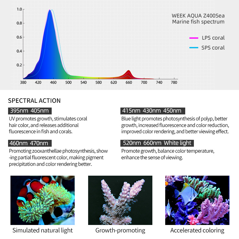 ZXY Hot Sale WEEKAQUA Z250 Z40 - Marine Aquarium For Sale ulasan dan harga