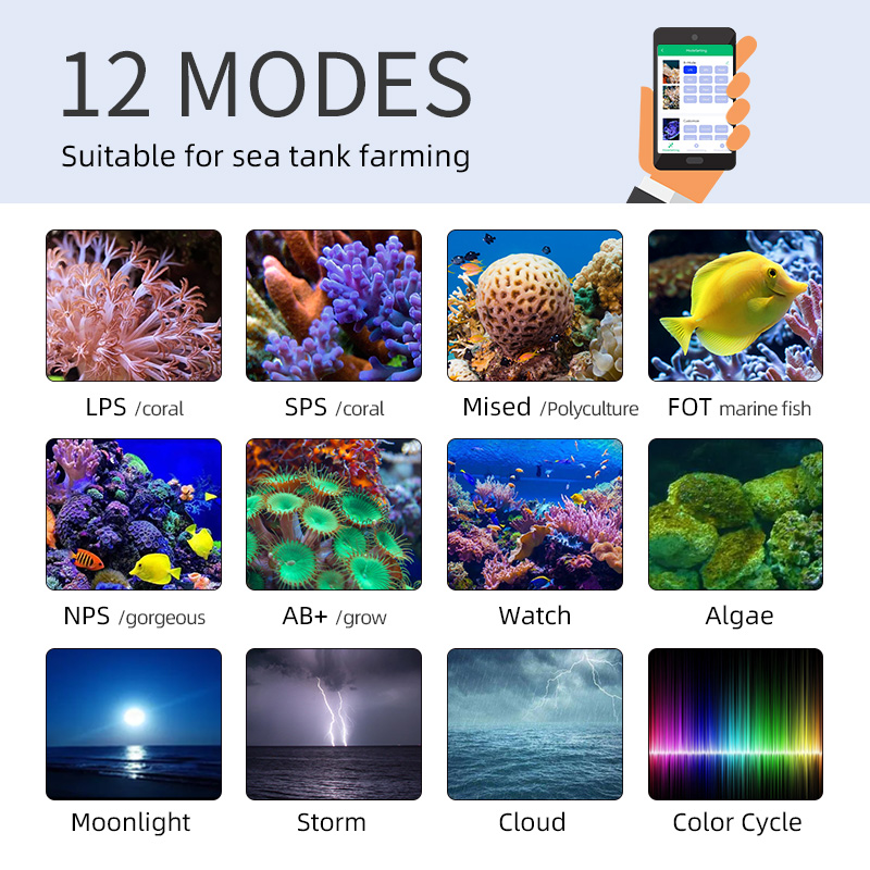 ZXY Hot Sale WEEKAQUA Z250 Z40 - Marine Aquarium For Sale ulasan dan harga