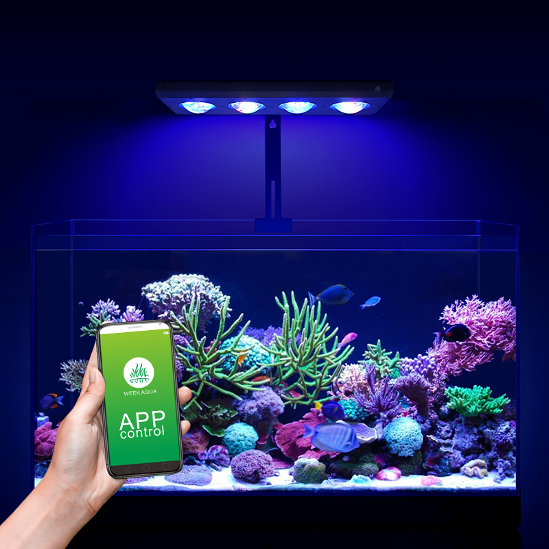 ZXY Hot Sale WEEKAQUA Z250 Z40 - Marine Aquarium For Sale ulasan dan harga