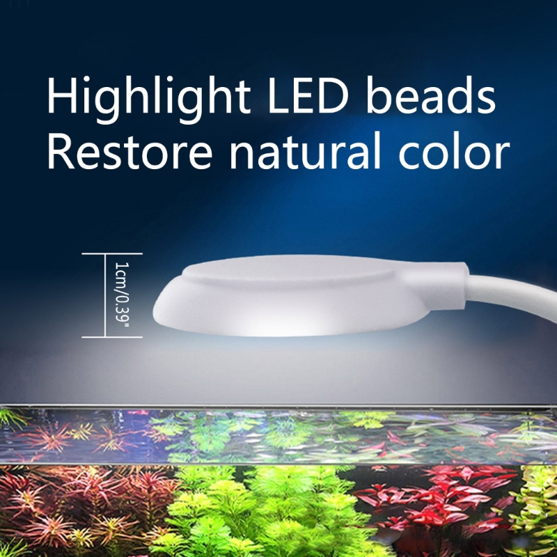 Aquarium Clamp Light LED Clip  - Marine Aquarium Lamp ulasan dan harga