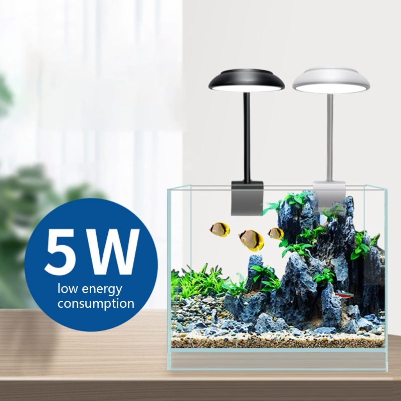 Aquarium Clamp Light LED Clip  - Marine Aquarium Lamp ulasan dan harga