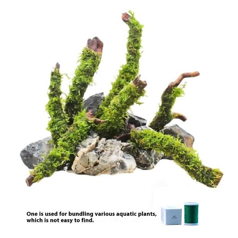200M Naturally Degradable Moss - Aquarium Innovative Marine ulasan dan harga
