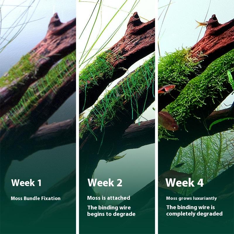 200M Naturally Degradable Moss - Aquarium Innovative Marine ulasan dan harga