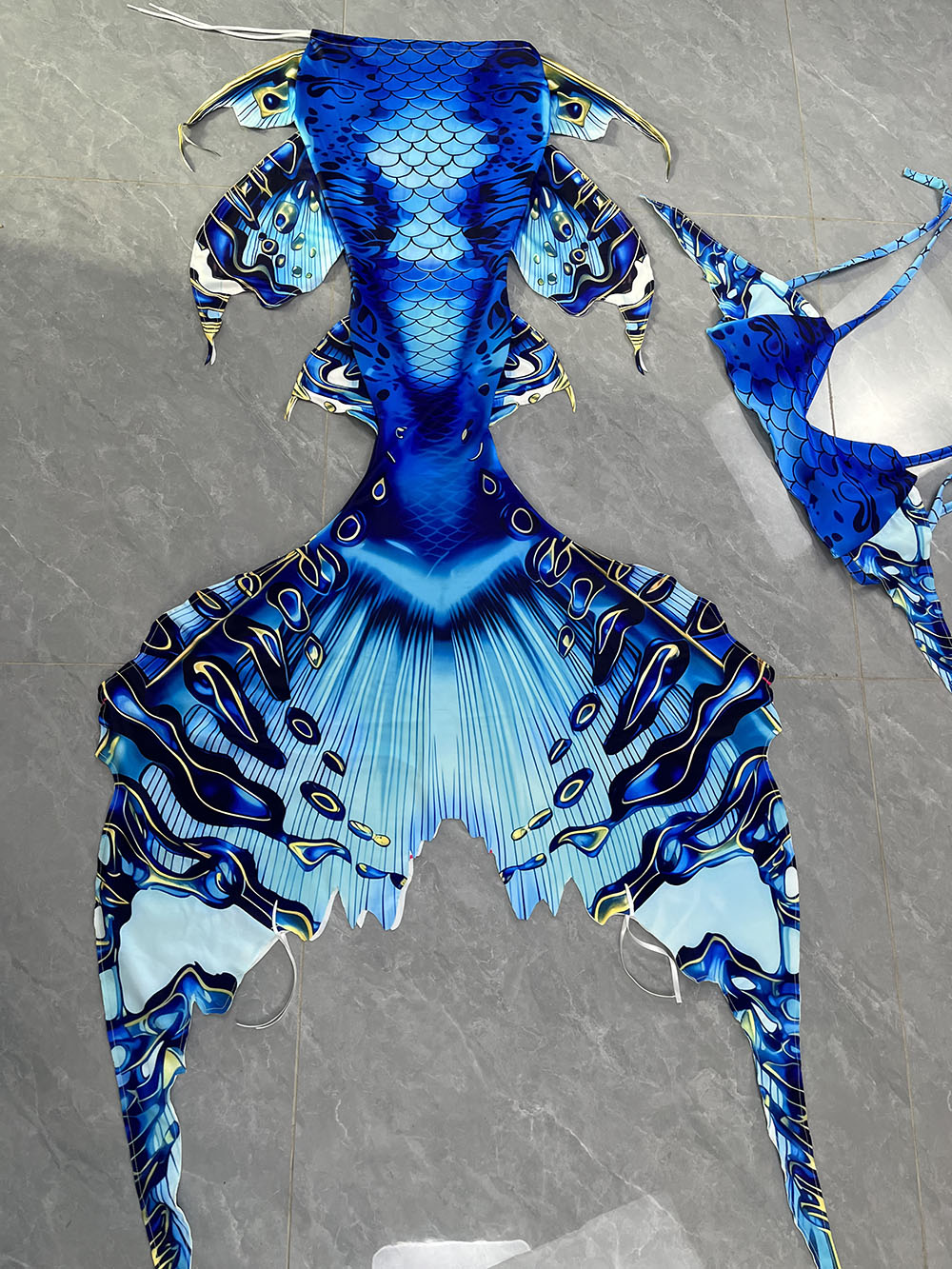 Colorful Dreamy Mermaid Tail A - Aquarium Marine ulasan dan harga