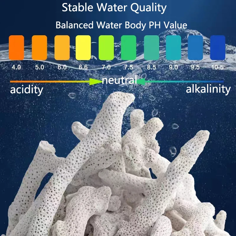 High Quality Natural Reef Cora - Marine Aquarium Live Sand ulasan dan harga