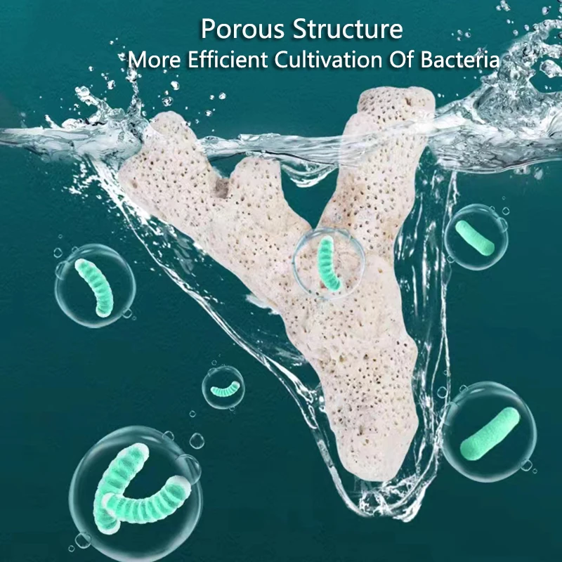 High Quality Natural Reef Cora - Marine Aquarium Live Sand ulasan dan harga