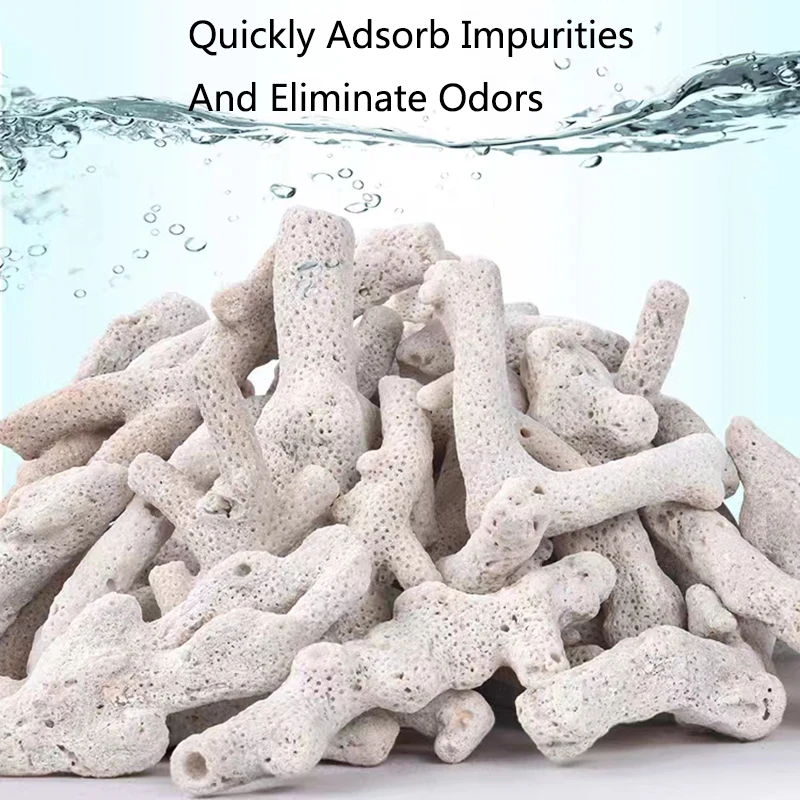 High Quality Natural Reef Cora - Marine Aquarium Live Sand ulasan dan harga