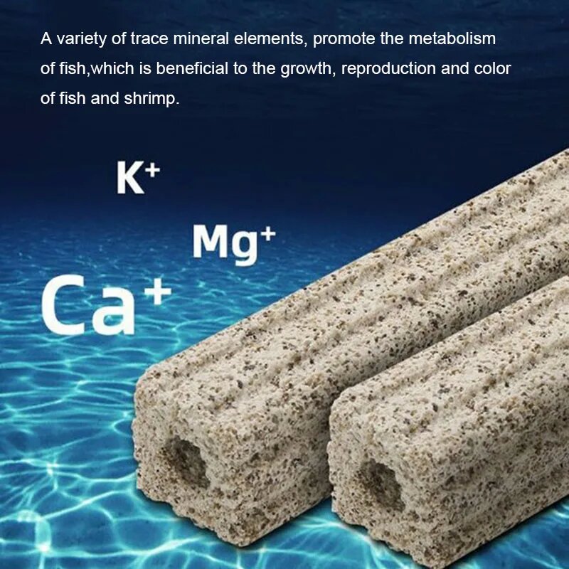 5Pcs Aquarium Filter Nano Bioc - Marine Aquarium Live Sand ulasan dan harga