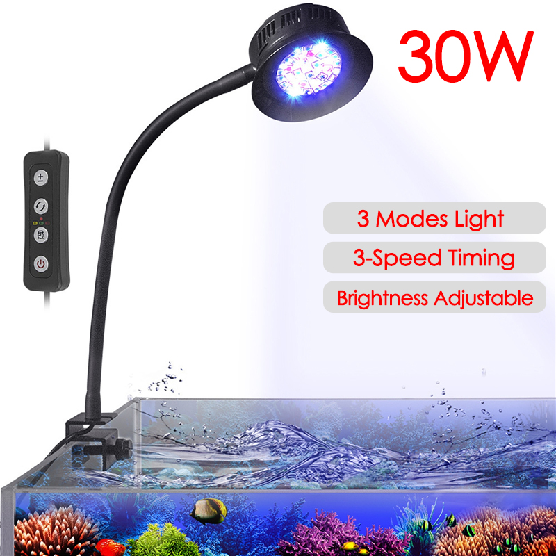 30W Aquarium Fish Tank Sea Wat - Aquarium Marine Fishes ulasan dan harga