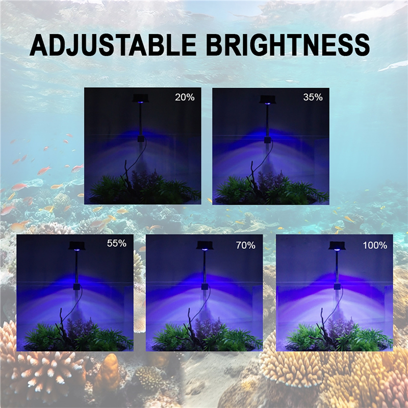 30W Aquarium Fish Tank Sea Wat - Aquarium Marine Fishes ulasan dan harga