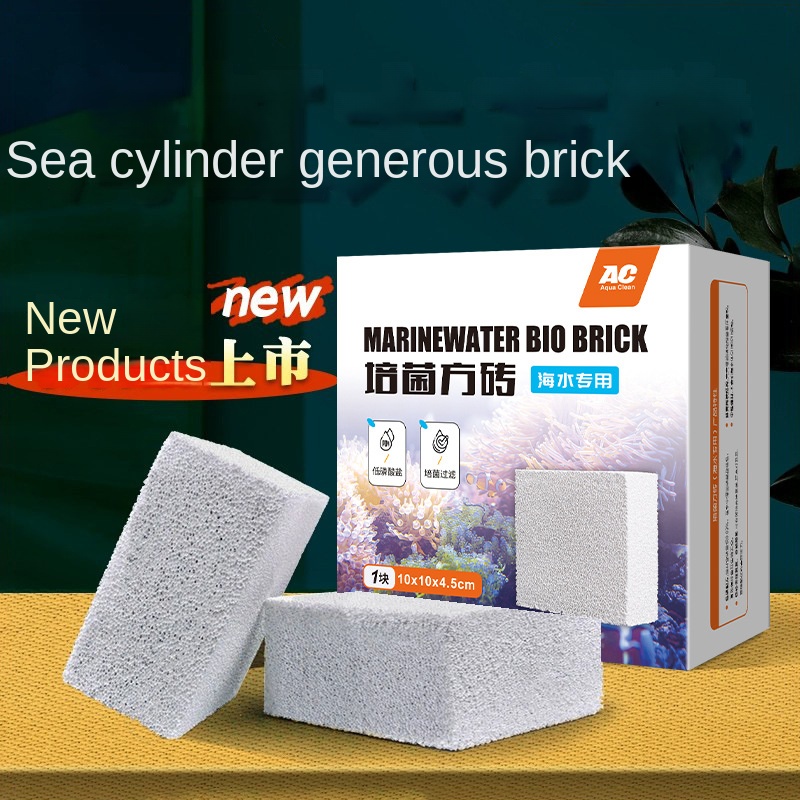 AC filter material seawater sp - Marine Aquarium Live Sand ulasan dan harga