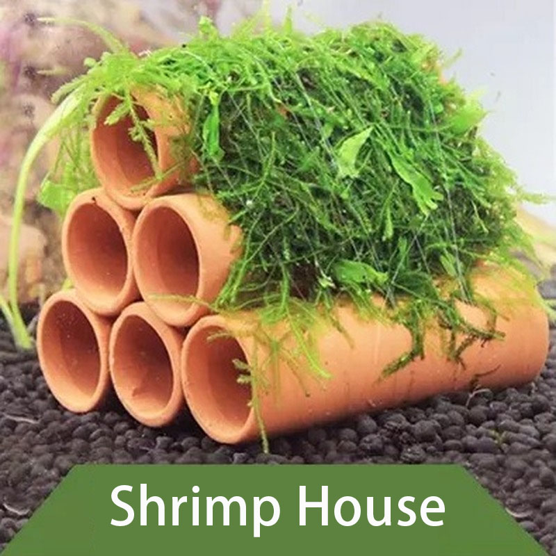 Clay Aquarium Decoration Fish  - Aquarium Innovative Marine ulasan dan harga