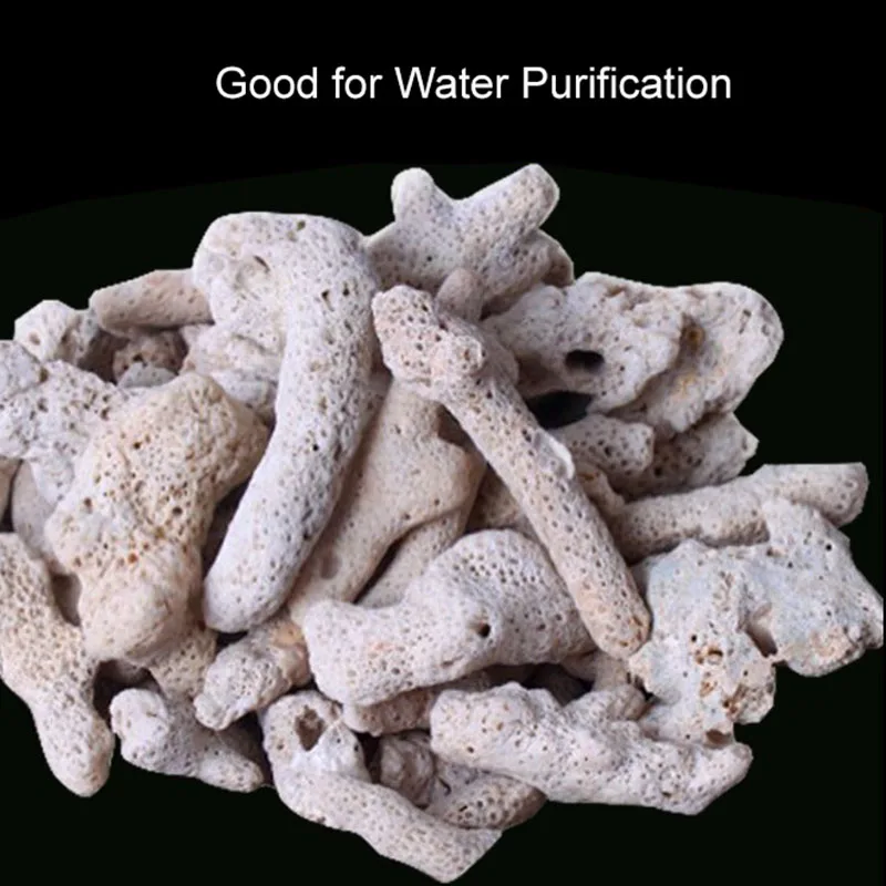 High Quality Natural Coral Bon - Marine Aquarium Live Sand ulasan dan harga