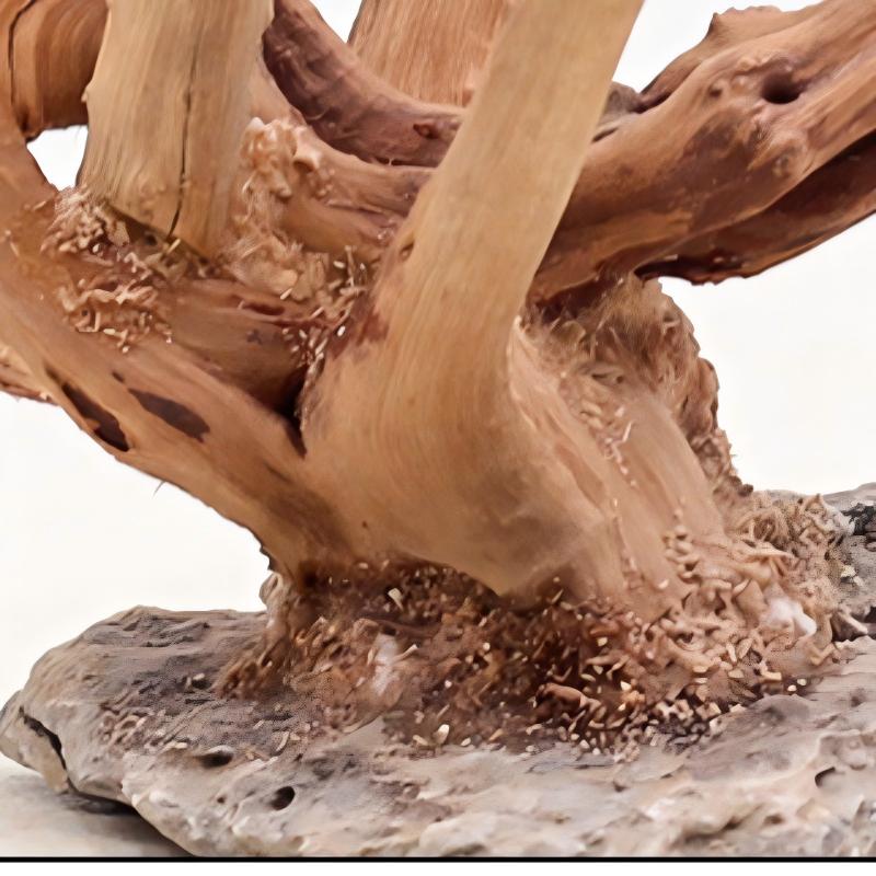 1PC Aquarium Landscaping Wood  - Aquarium Innovative Marine ulasan dan harga