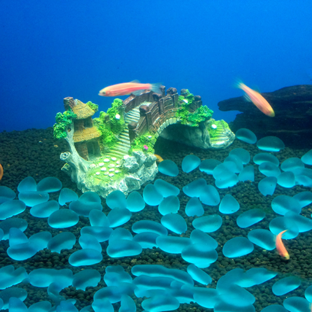 Aquarium Accessories Arbor Tre - Aquarium Innovative Marine ulasan dan harga