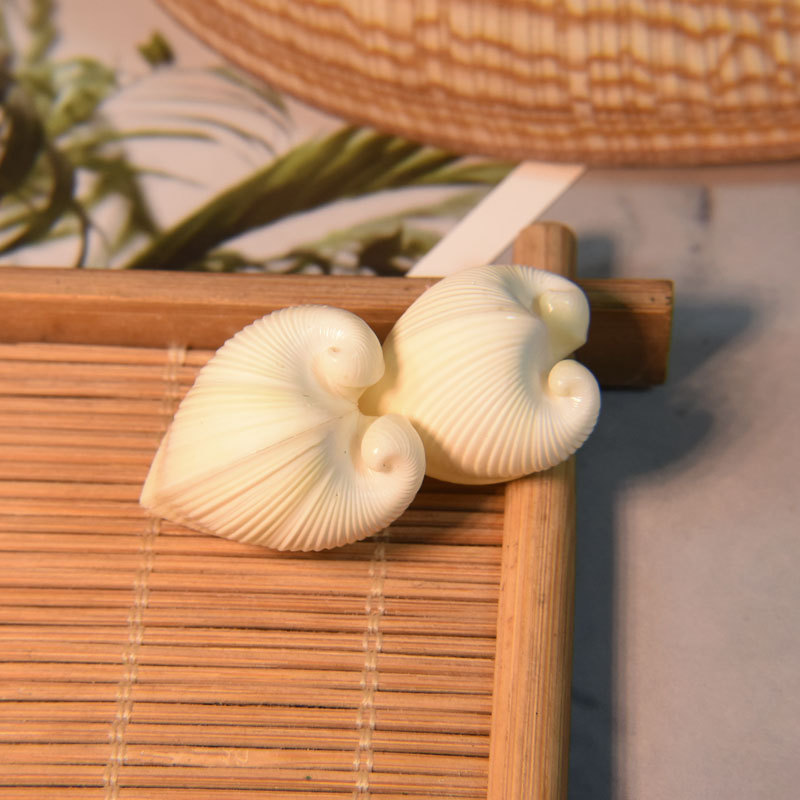 Natural Cardium cardissa Shell - Marine Aquarium Decorations ulasan dan harga