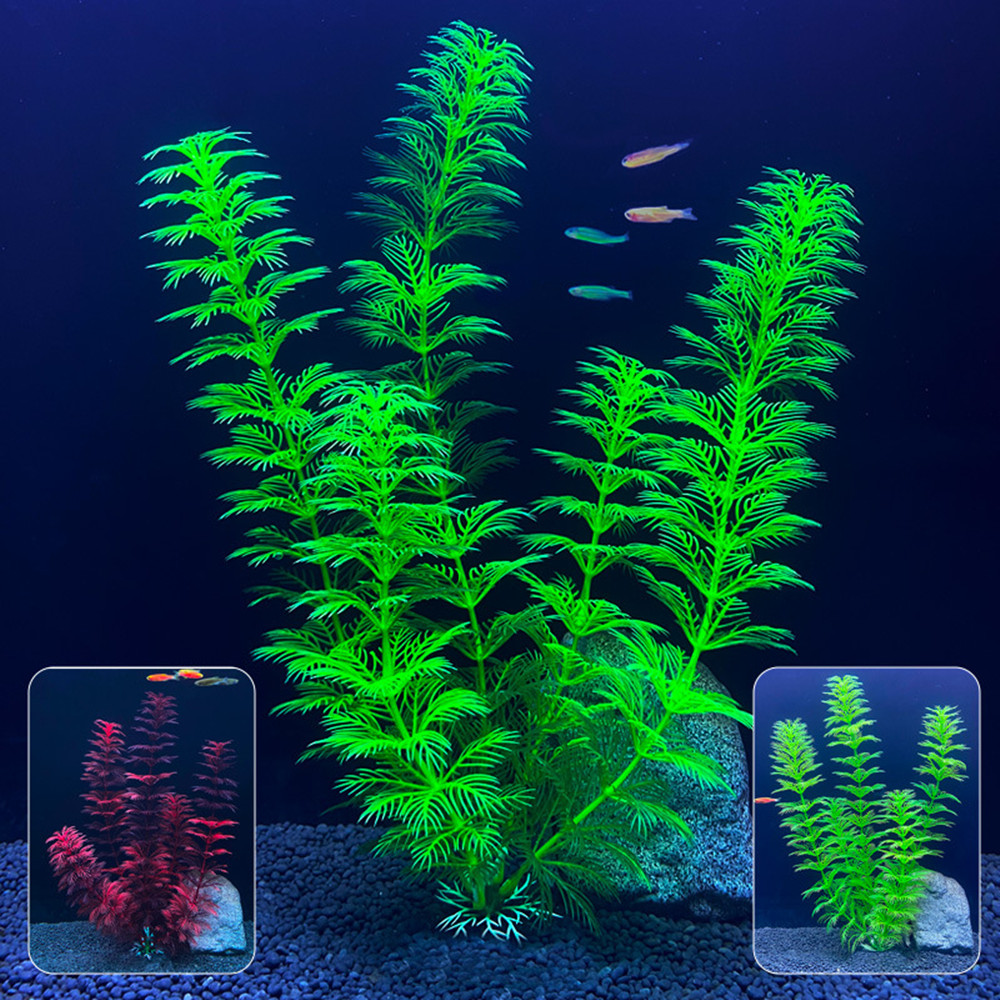 14cm - 30cm Fake Aquarium Plan - Marine Aquarium For Sale ulasan dan harga