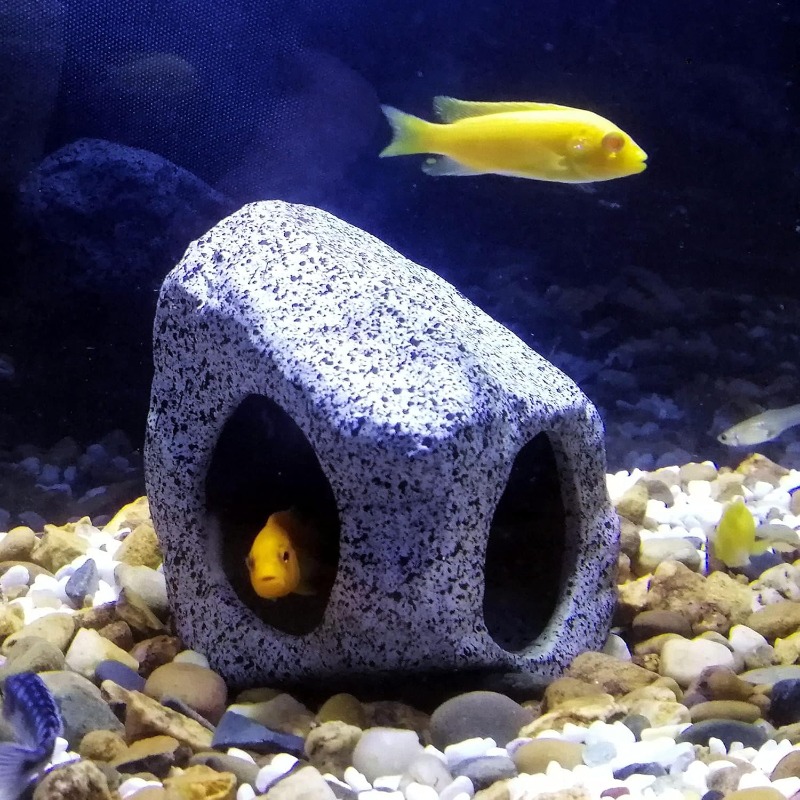 Fish Tank Cave Stone Landscapi - Aquarium Innovative Marine ulasan dan harga