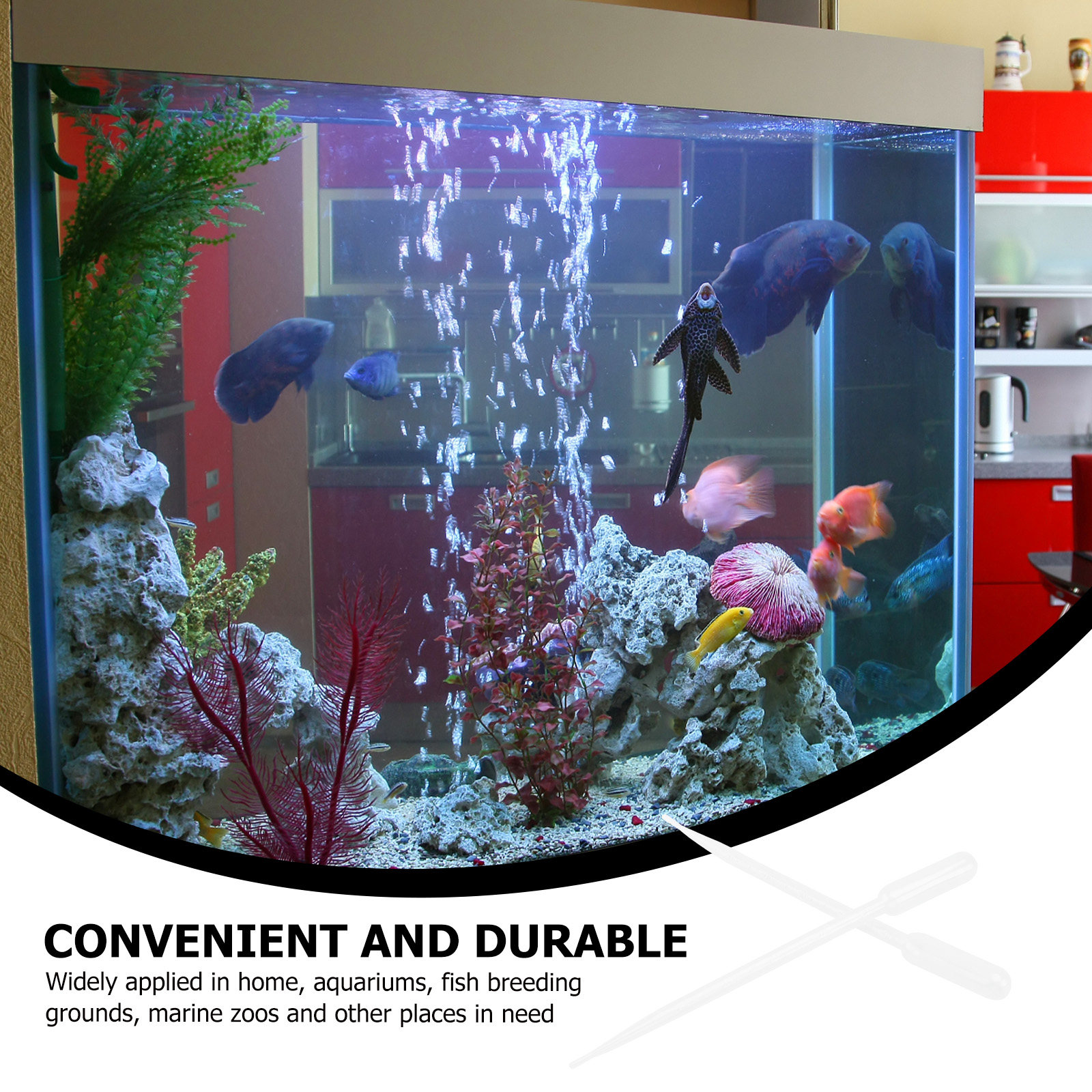 10Pcs ABS Plastic Coral Feeder - Marine Aquarium Youtube ulasan dan harga