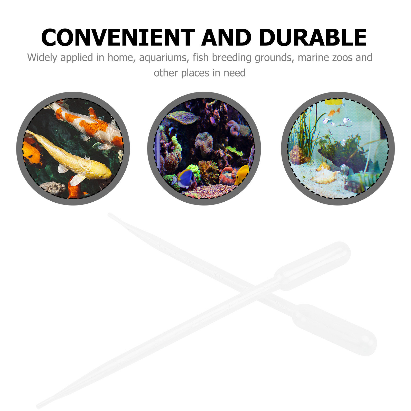 10Pcs ABS Plastic Coral Feeder - Marine Aquarium Youtube ulasan dan harga