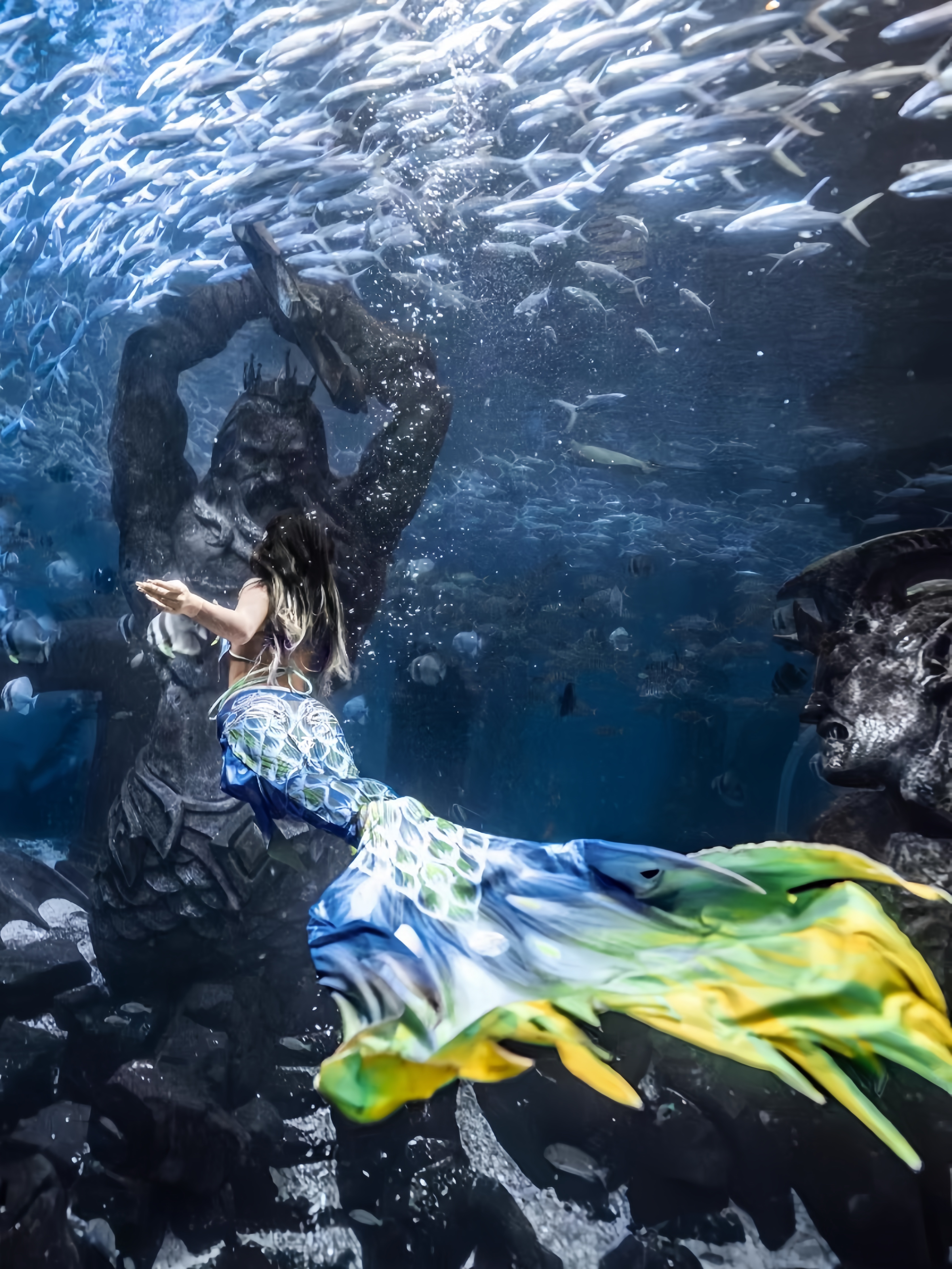 Mermaid Tail Adult Ladies Swim - Aquarium & Marine Museum ulasan dan harga