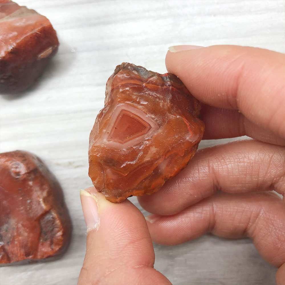 1pc Random Rough Raw Carnelian - Aquarium Innovative Marine ulasan dan harga