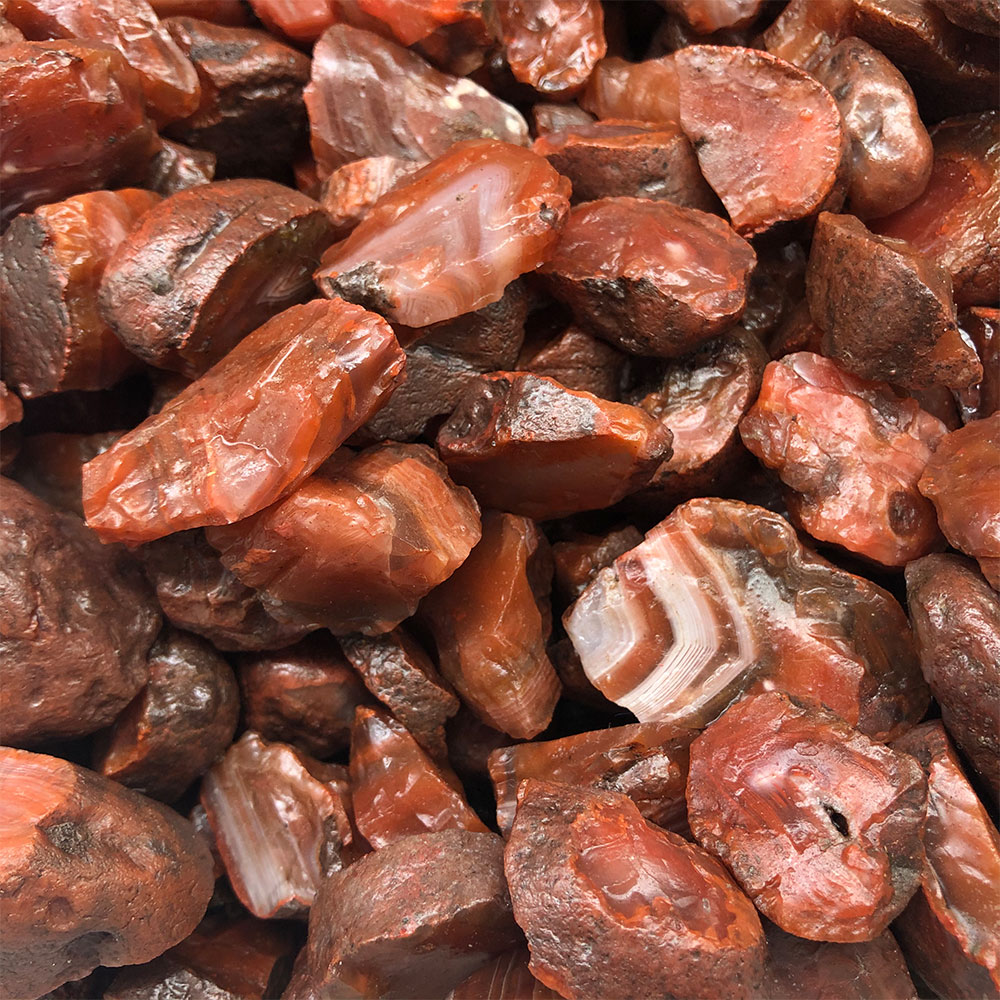1pc Random Rough Raw Carnelian - Aquarium Innovative Marine ulasan dan harga