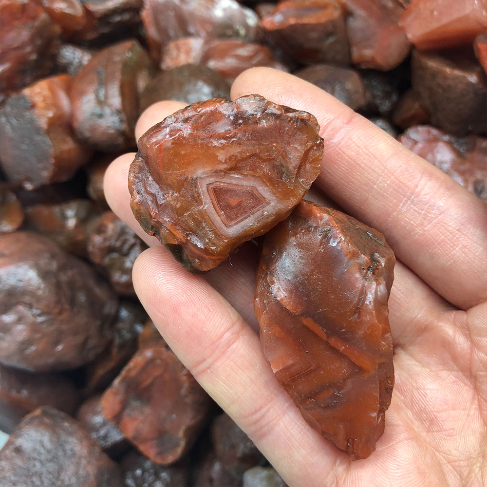 1pc Random Rough Raw Carnelian - Aquarium Innovative Marine ulasan dan harga