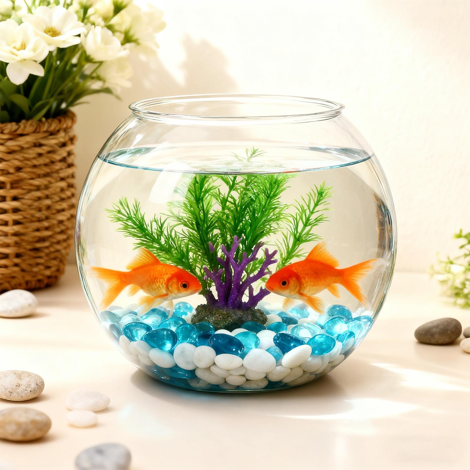 Bubble Bowl Space-Saving Aquar - Aquarium Innovative Marine ulasan dan harga