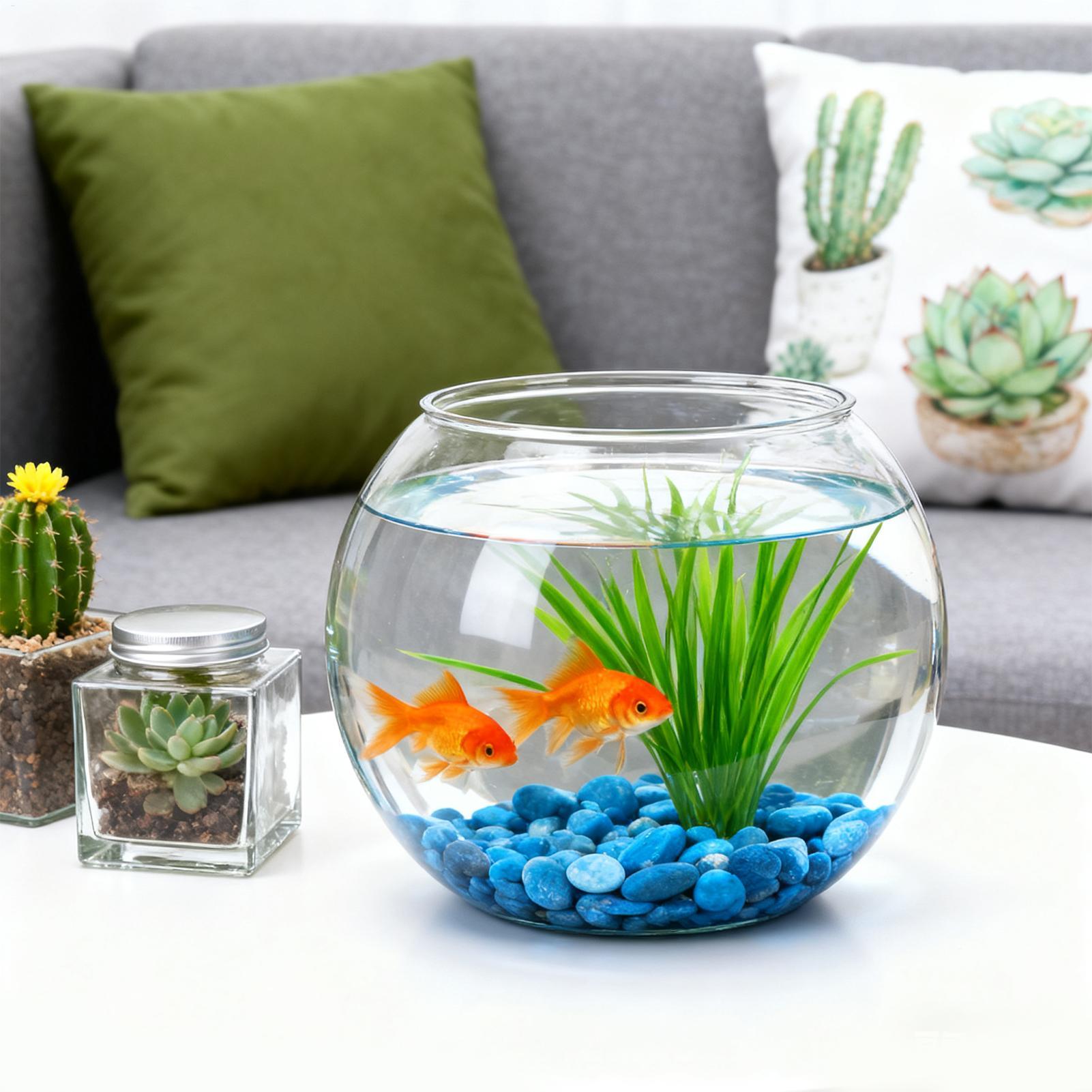 Bubble Bowl Space-Saving Aquar - Aquarium Innovative Marine ulasan dan harga