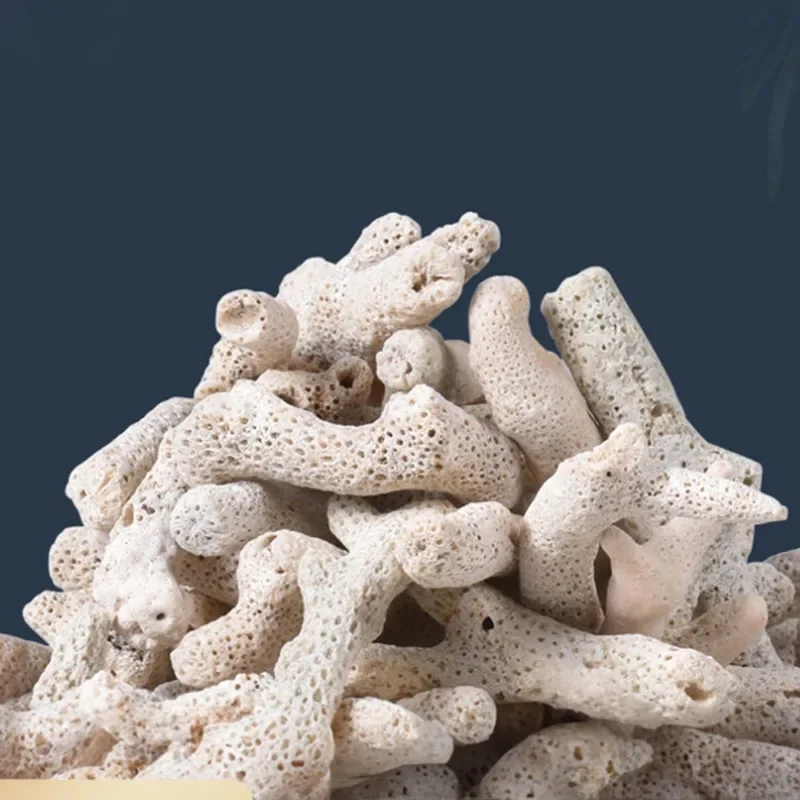 100g 250g 500g Aquarium Filter - Marine Aquarium Live Sand ulasan dan harga