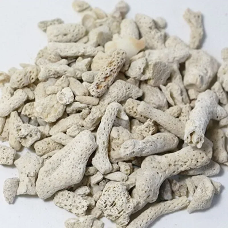 100g 250g 500g Aquarium Filter - Marine Aquarium Live Sand ulasan dan harga