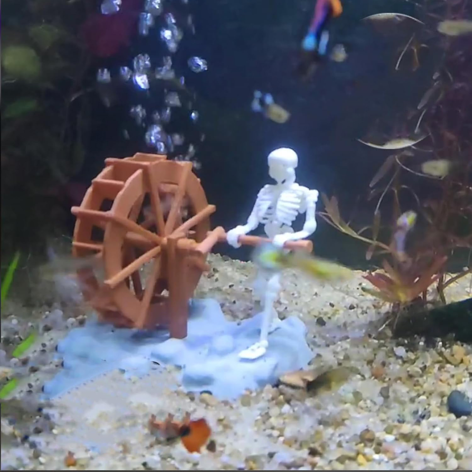 Skeleton Waterwheel Creative U - Aquarium Marine ulasan dan harga